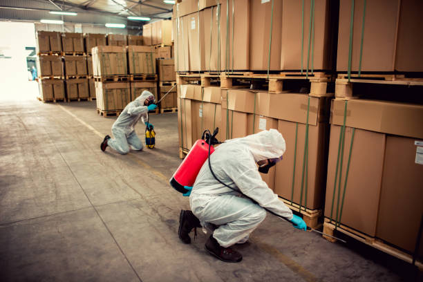 Best Pest Control Near Me  in Amerin Nyon, CA