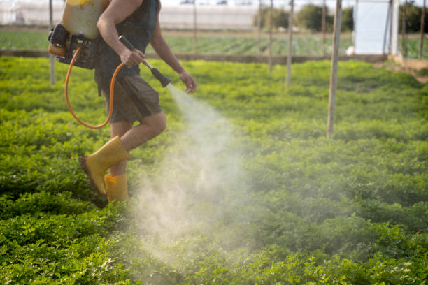 Best Commercial Pest Control Services  in Amerin Nyon, CA