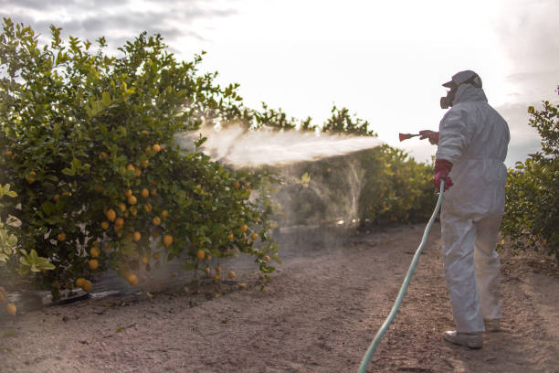 Best Pest Inspection Near Me  in Amerin Nyon, CA