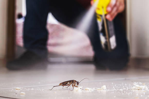 Best Best Pest Control Companies  in Amerin Nyon, CA
