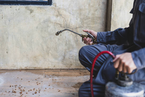 Best Mosquito Control Services  in Amerin Nyon, CA